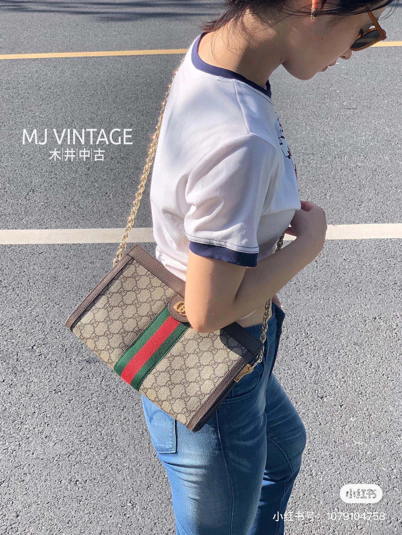 Gucci Ophidia Handbag