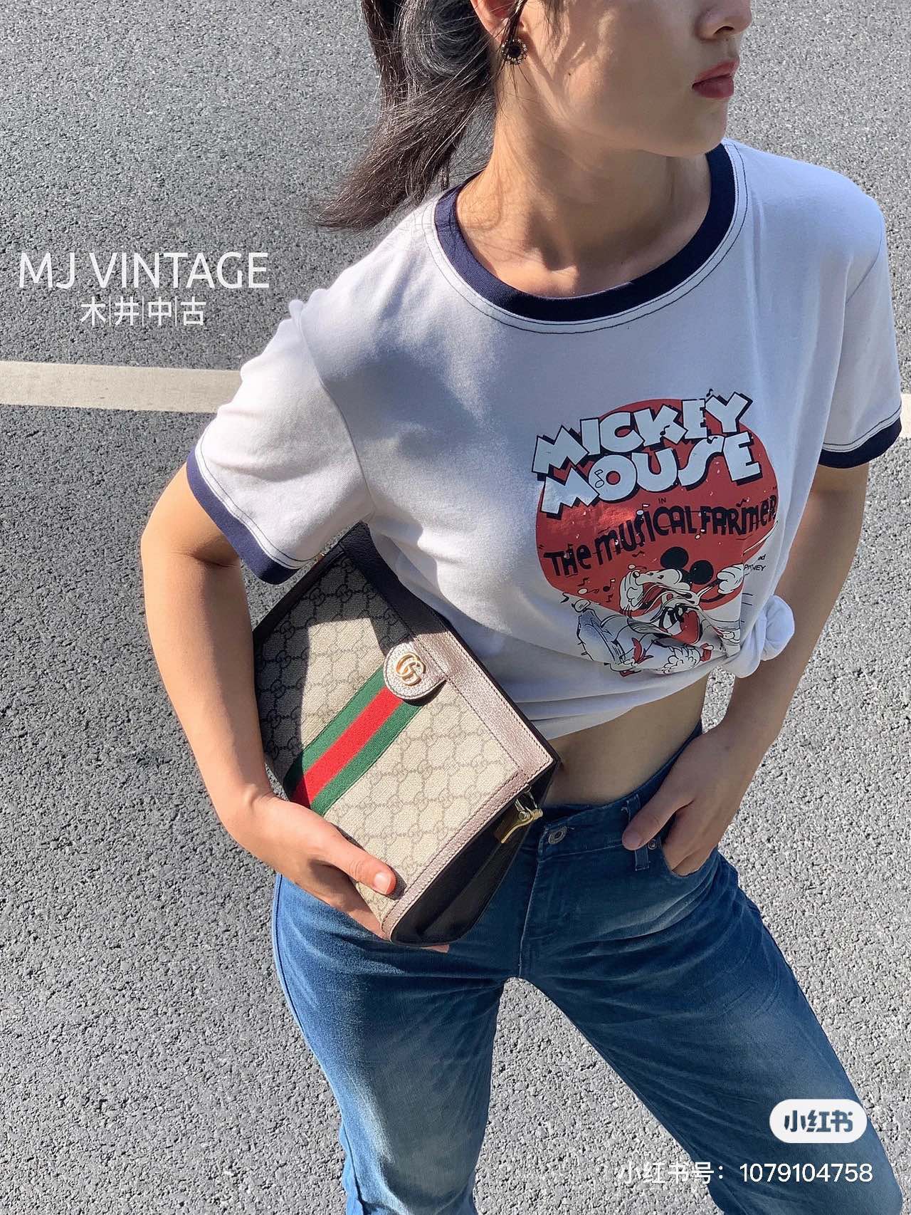 Gucci Ophidia Handbag