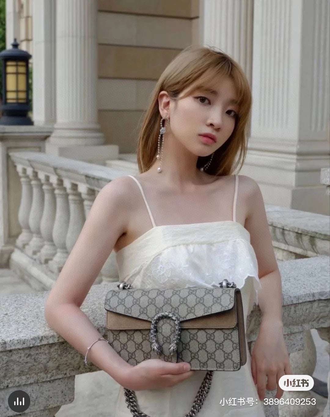 Gucci dionysus Handbag