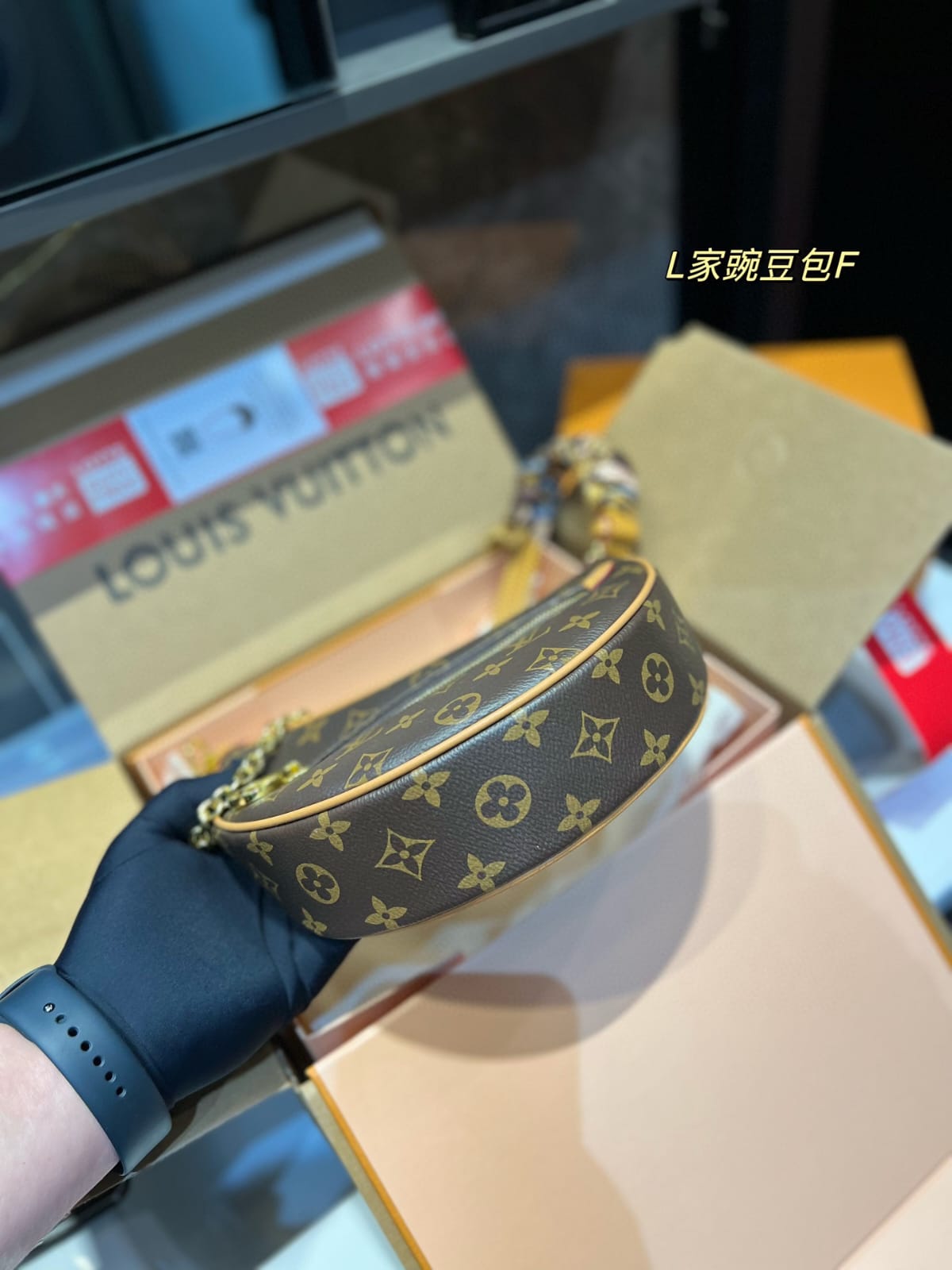 Louis Vuitton Loop monogram Handbag ➕️ Twilly Scarf