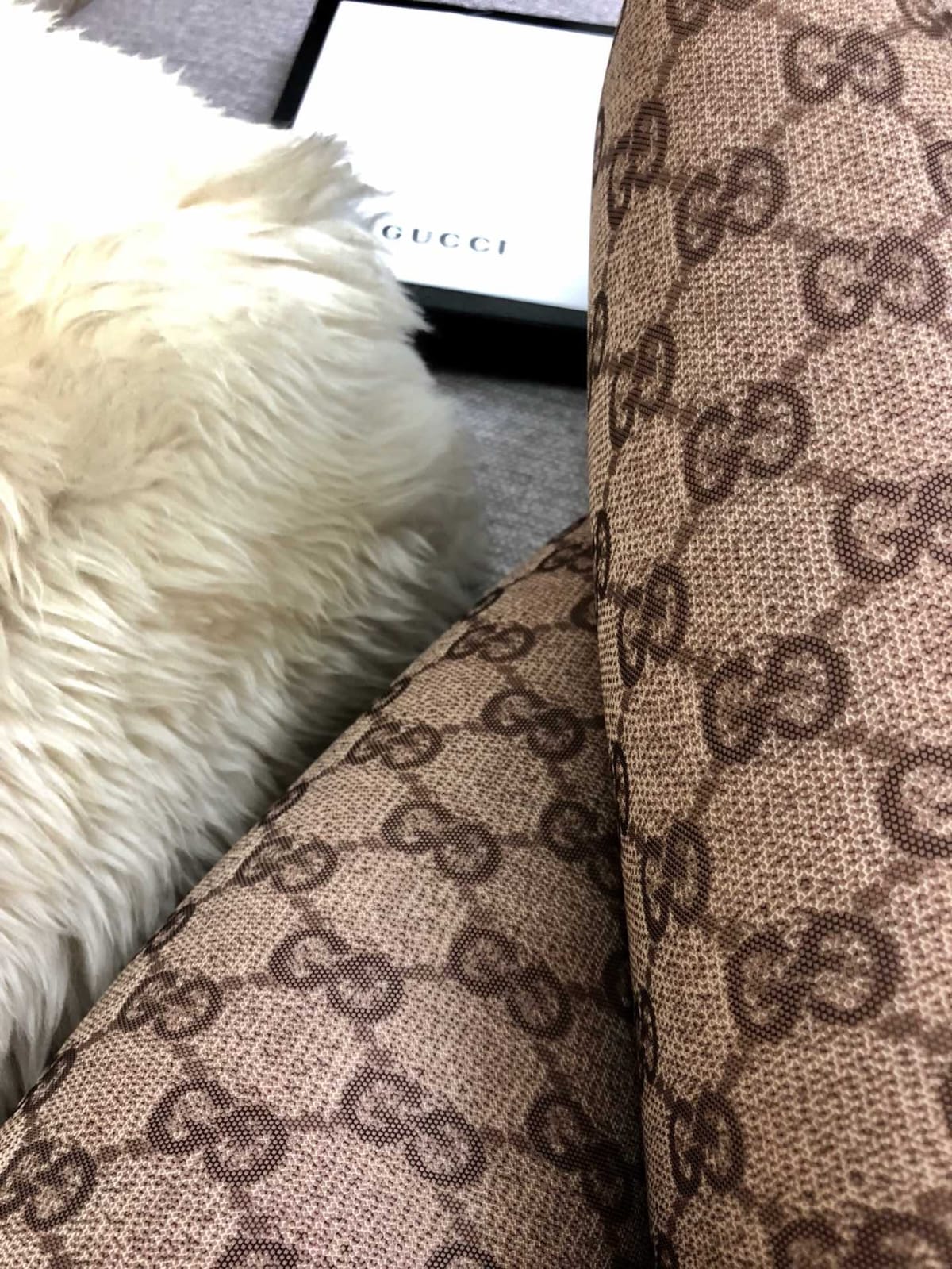 Gucci tights /pantyhose