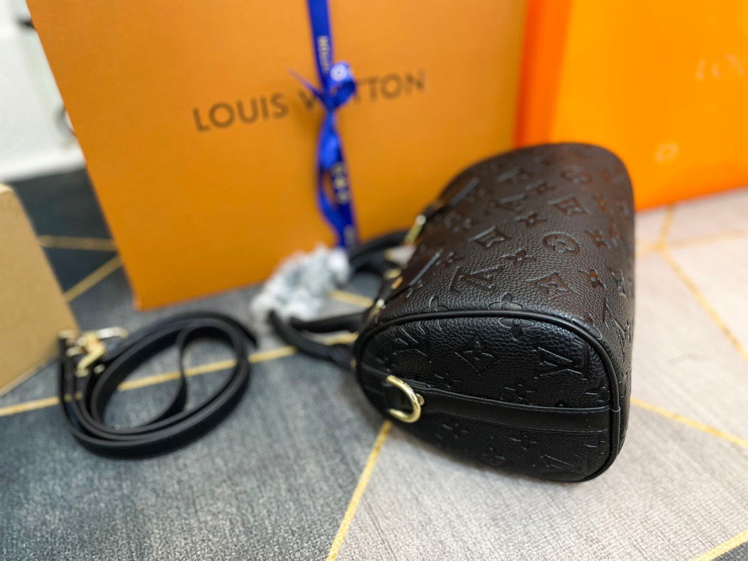 Louis Vuitton Speedy Mini Handbag