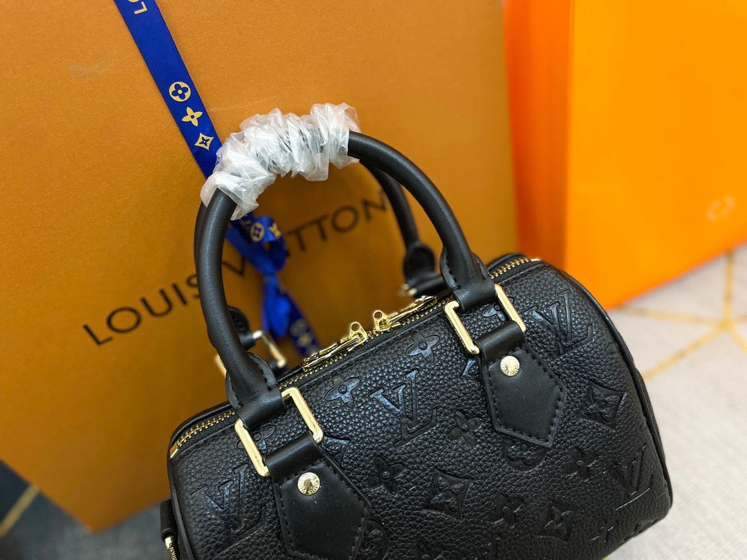 Louis Vuitton Speedy Mini Handbag