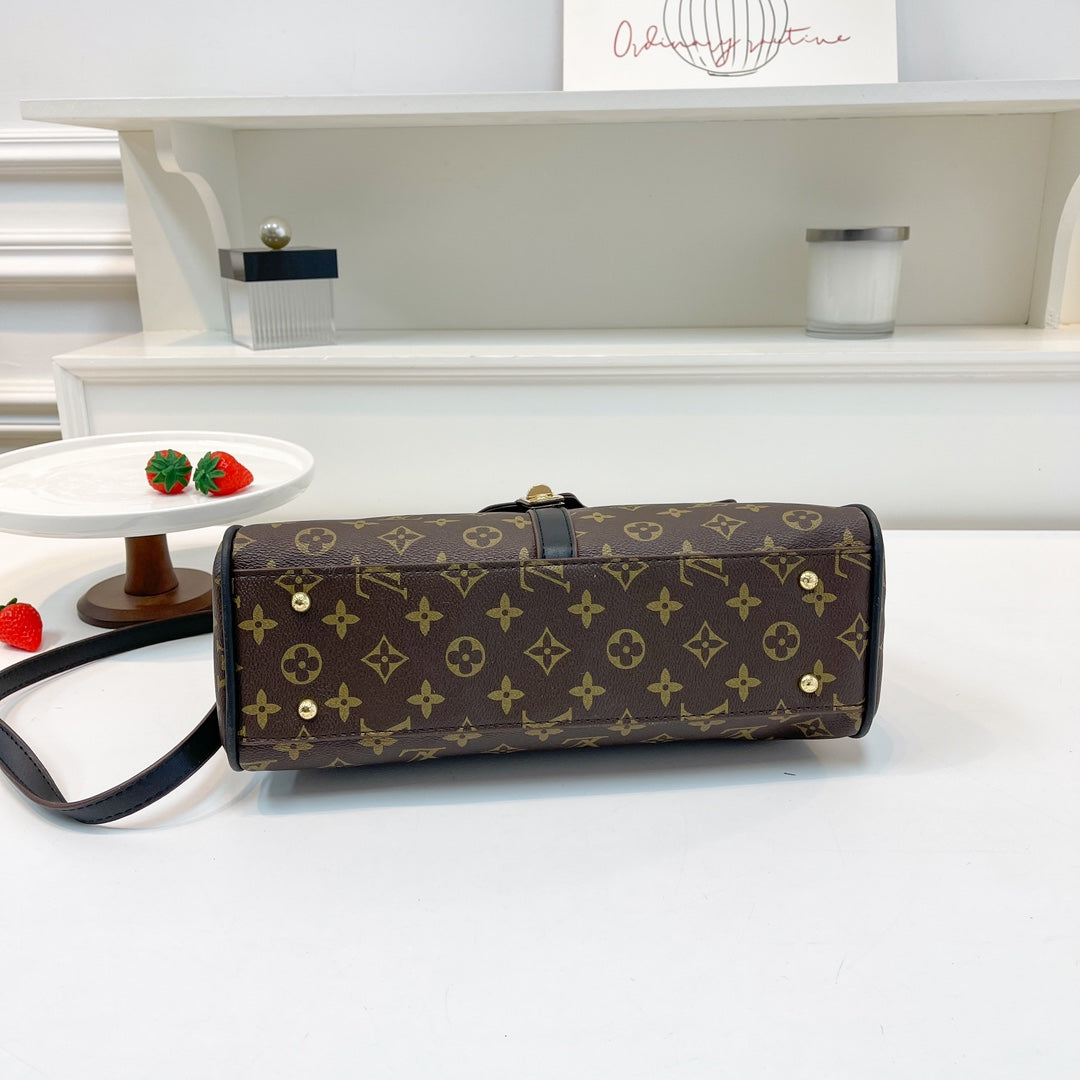 Louis vuitton handbag