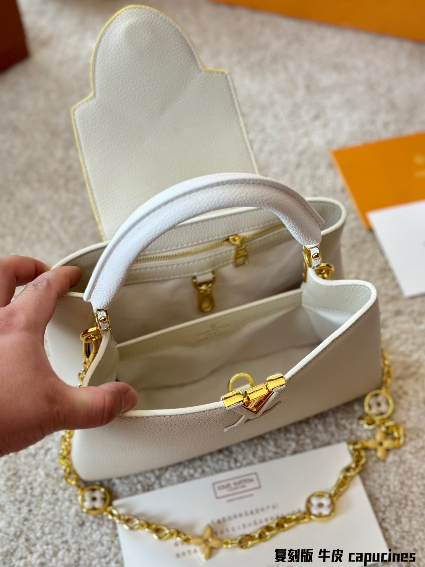 Louis Vuitton Capucines Handbag( 27cm and 20cm)