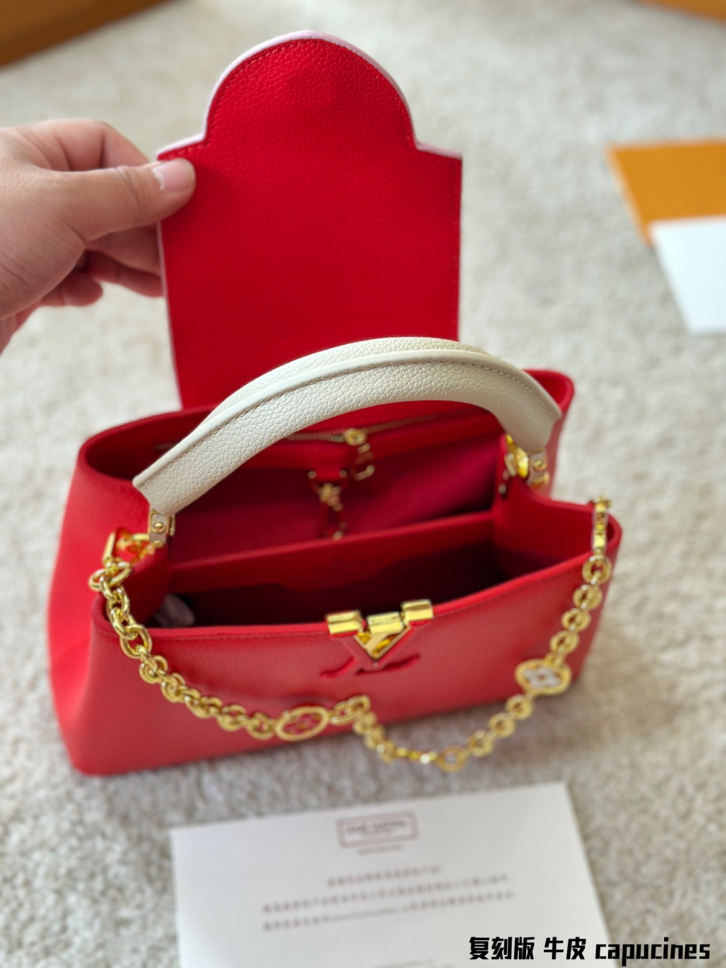 Louis Vuitton Capucines Handbag( 27cm and 20cm)