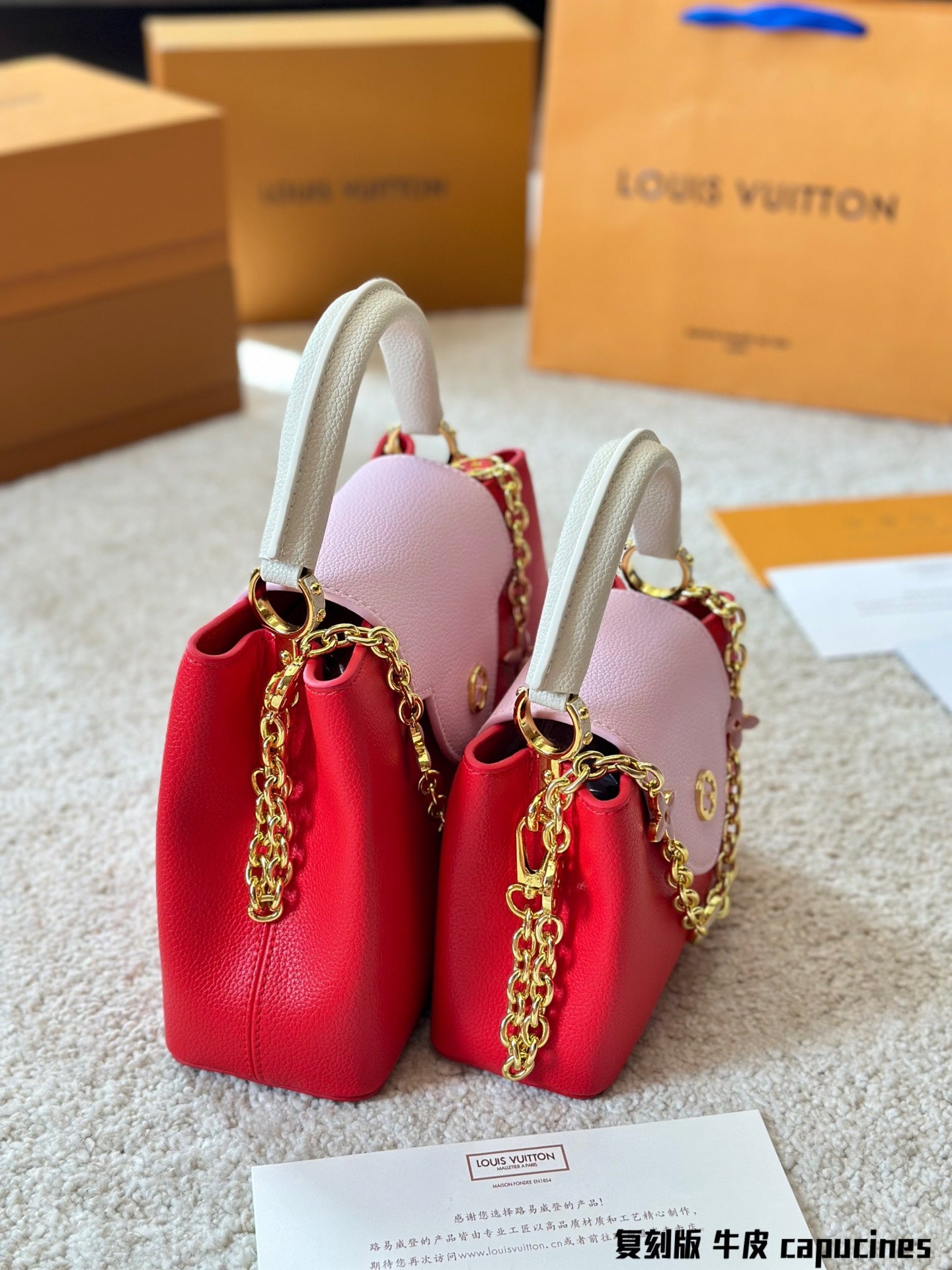 Louis Vuitton Capucines Handbag( 27cm and 20cm)