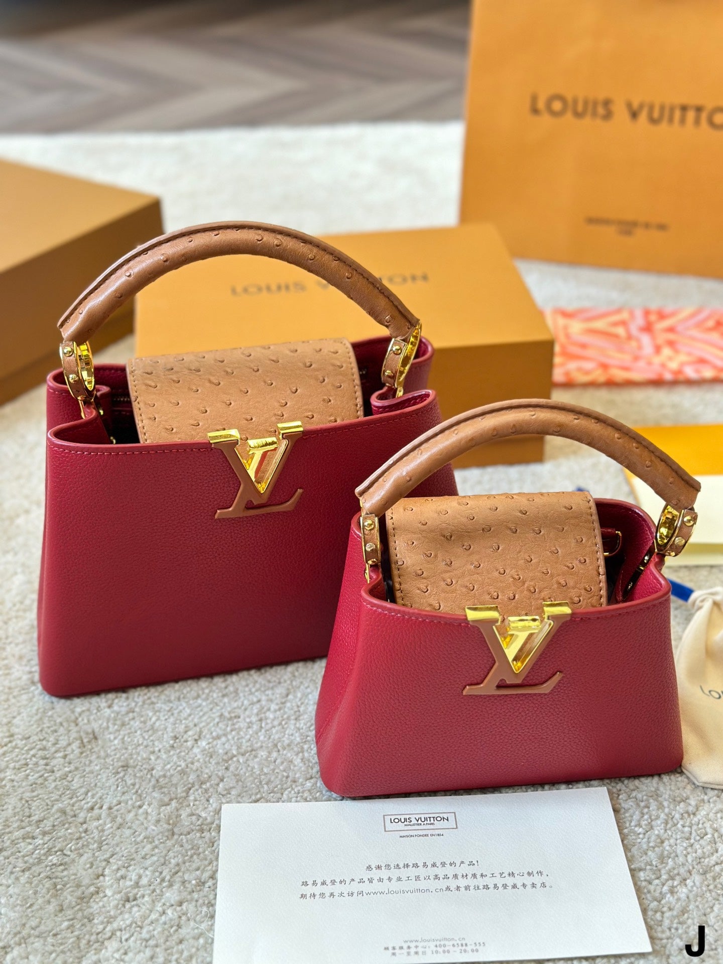 Louis Vuitton Capucines Handbag( 27cm and 20cm)