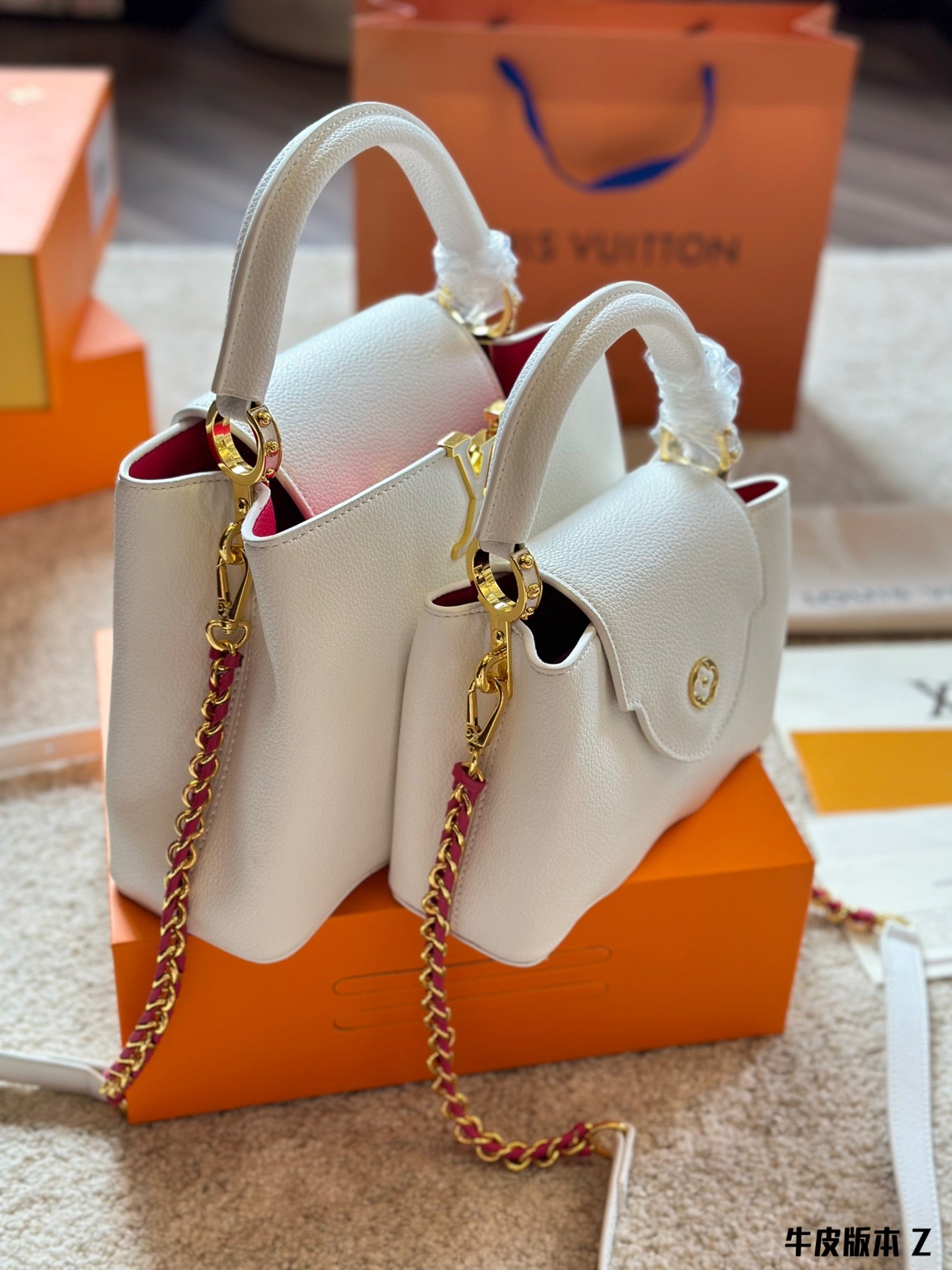 Louis Vuitton Capucines Handbag( 27cm and 20cm)