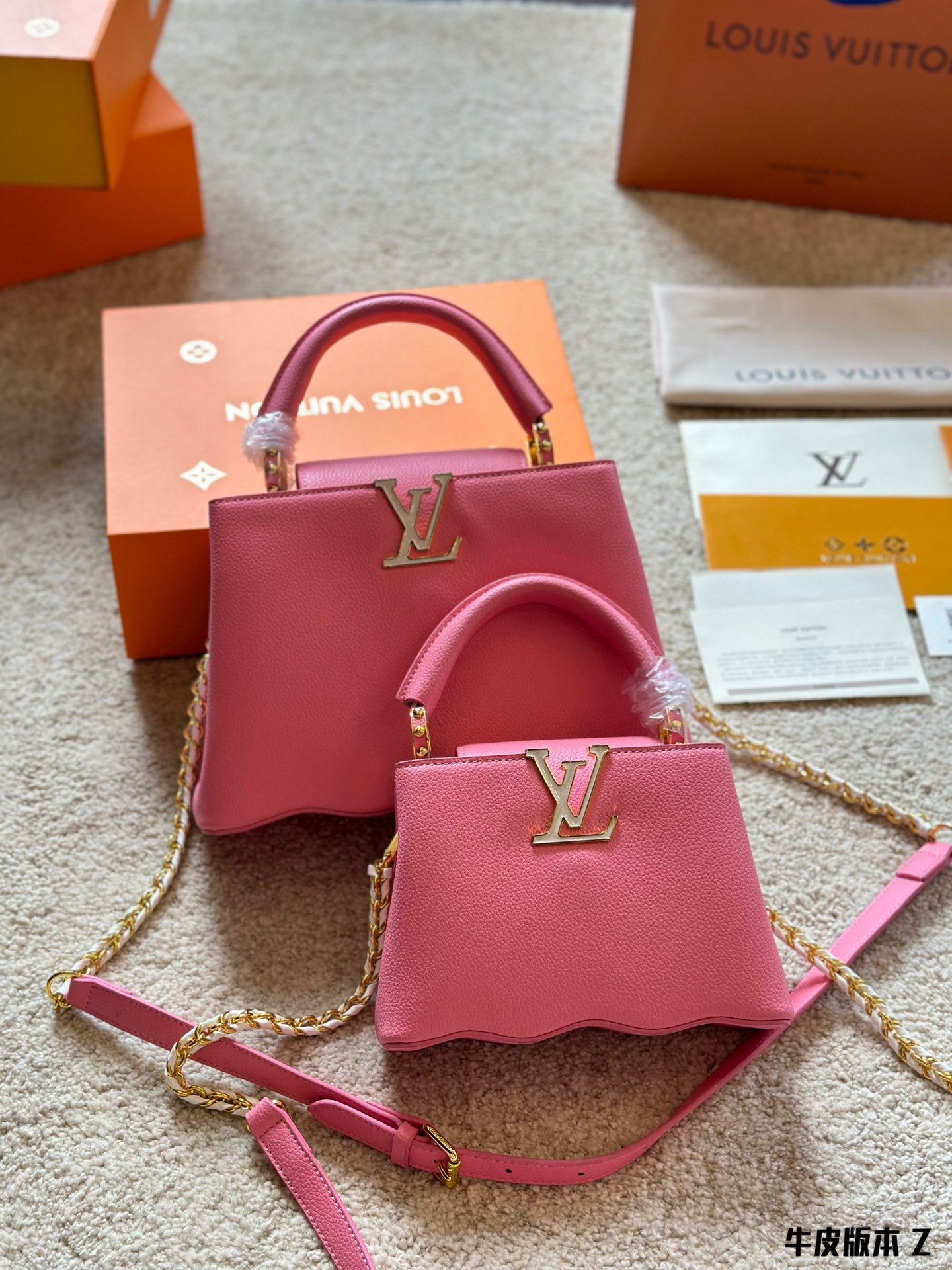 Louis Vuitton Capucines Handbag( 27cm and 20cm)