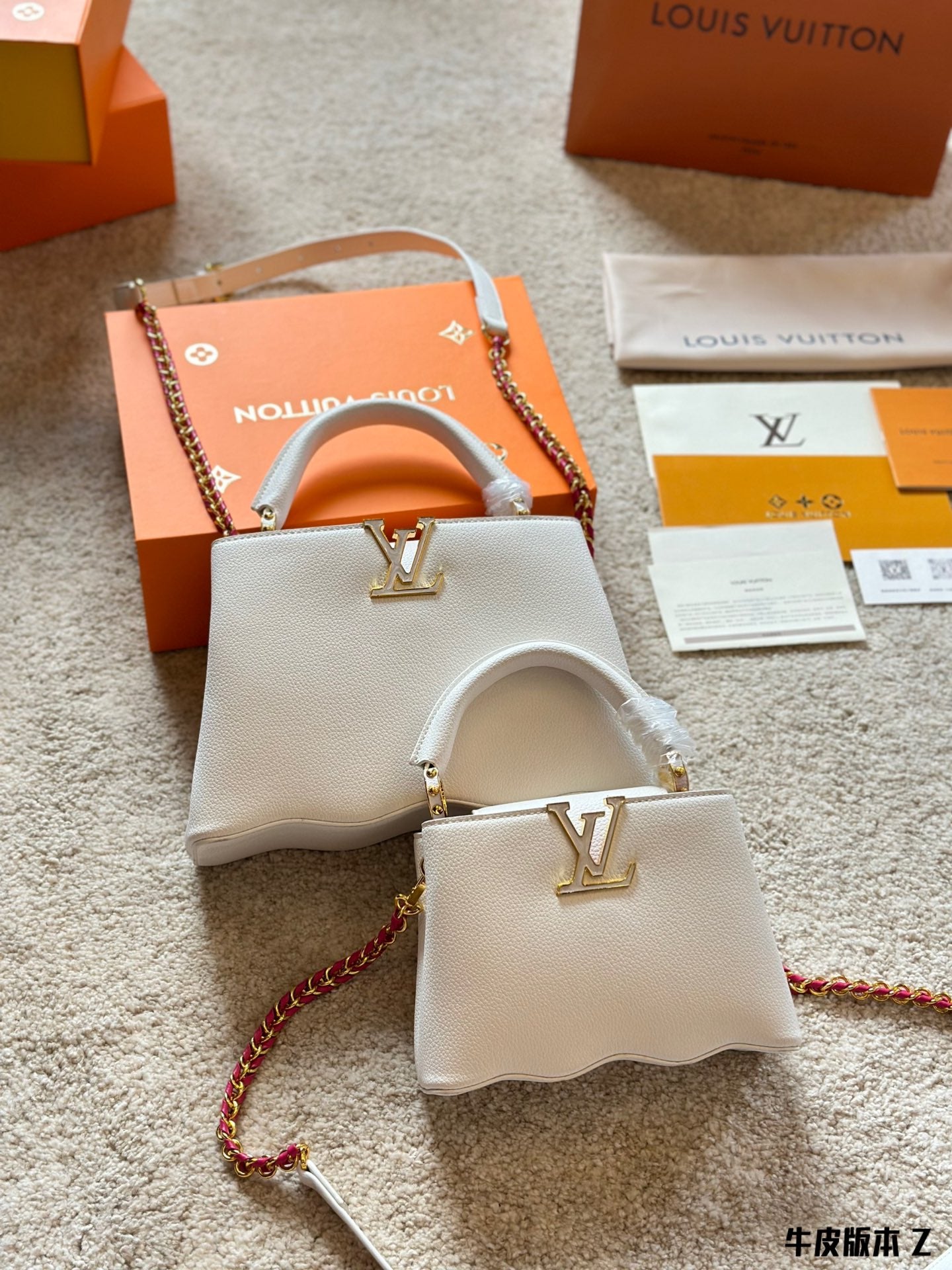 Louis Vuitton Capucines Handbag( 27cm and 20cm)