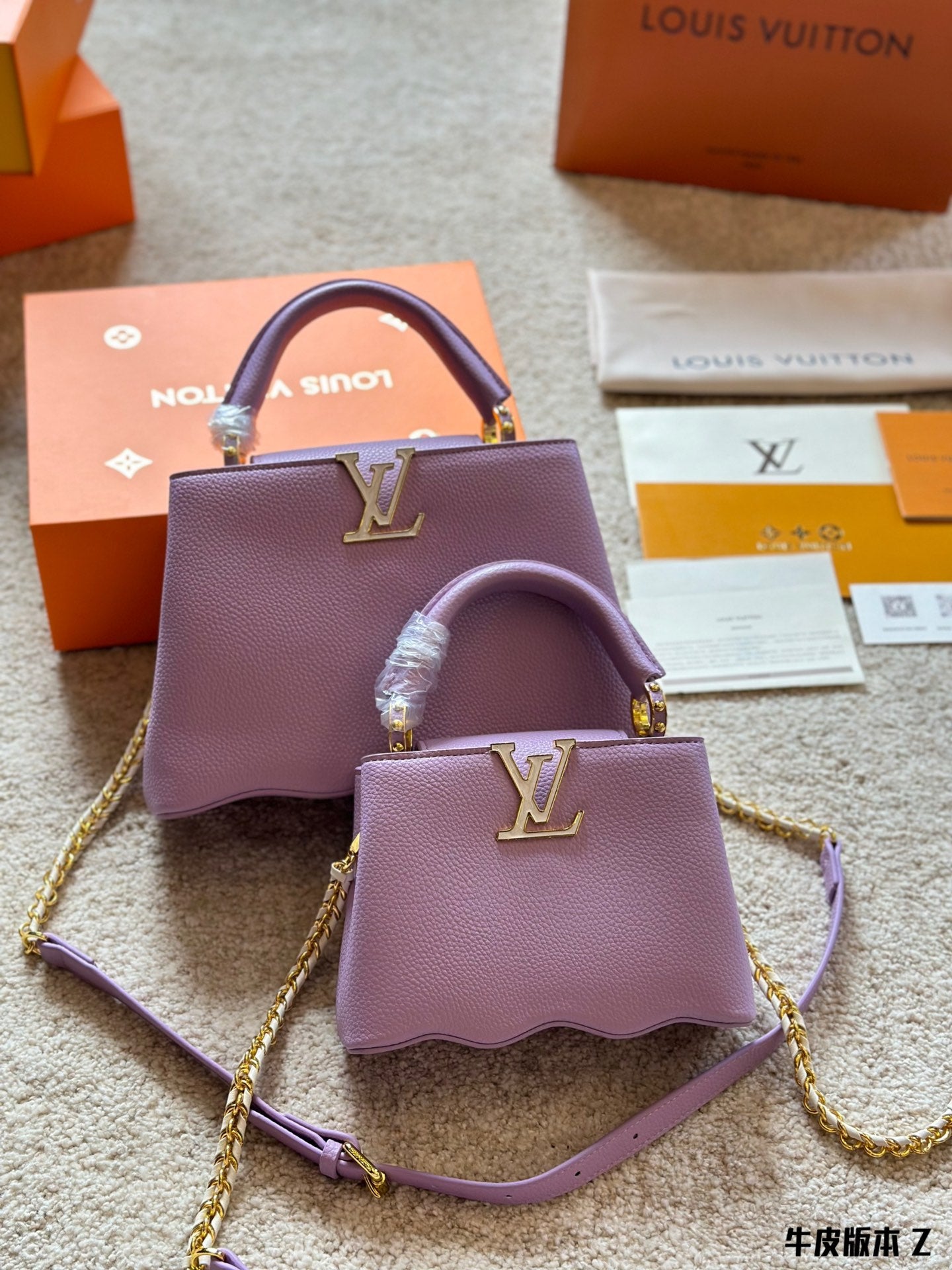 Louis Vuitton Capucines Handbag( 27cm and 20cm)