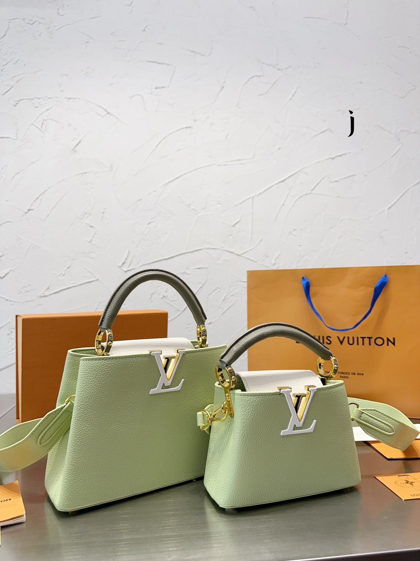 Louis Vuitton Capucines Handbag( 27cm and 20cm)