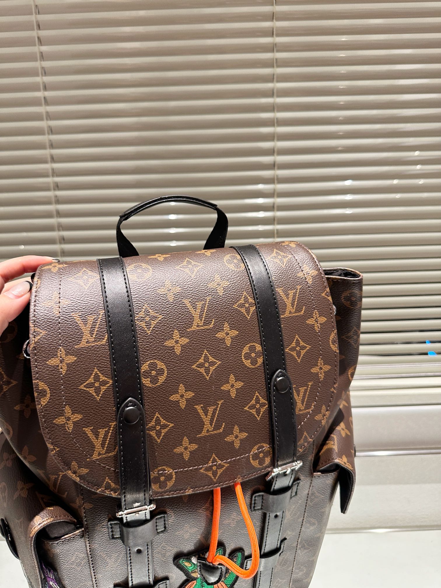 Louis vuitton handbags Backpack