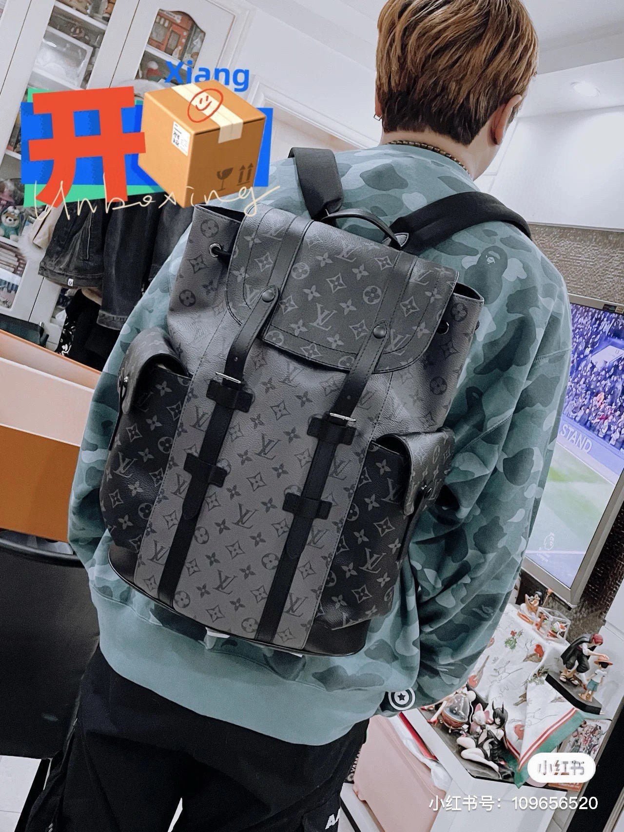 Louis vuitton handbags Backpack