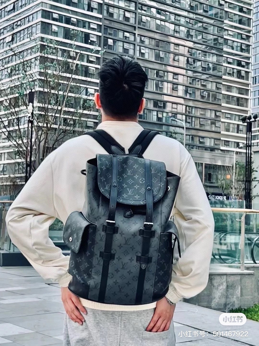 Louis vuitton handbags Backpack