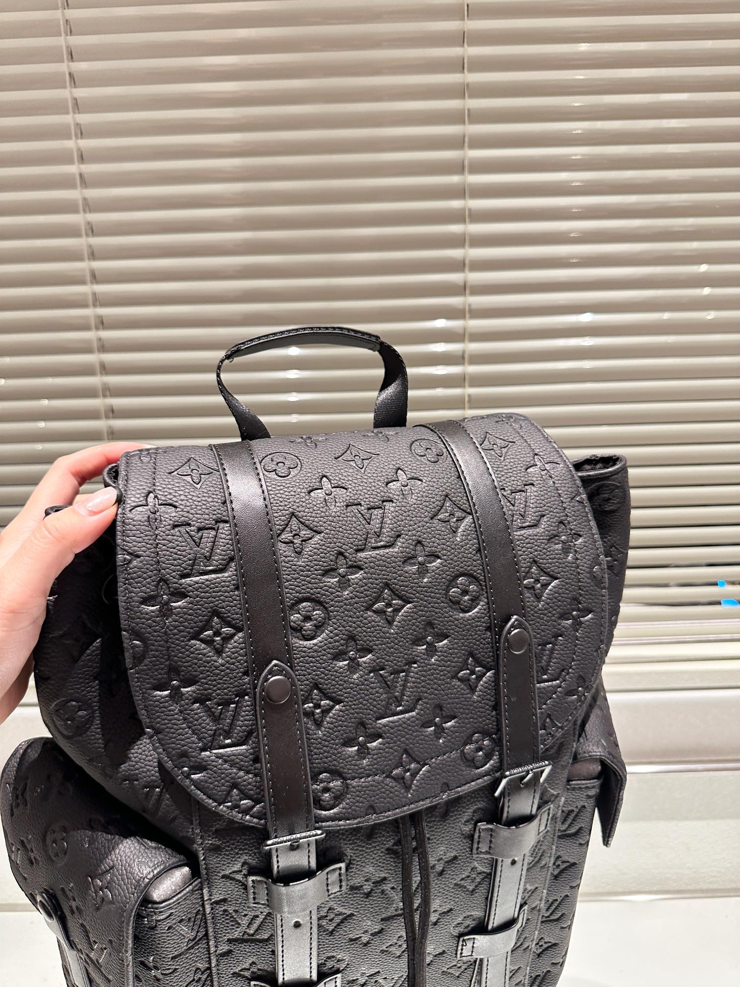 Louis vuitton handbags Backpack