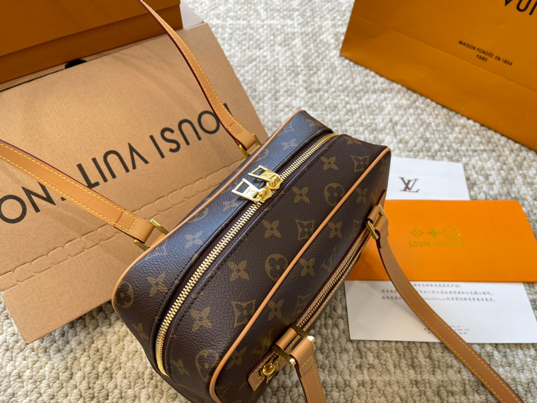 Louis vuitton handbags