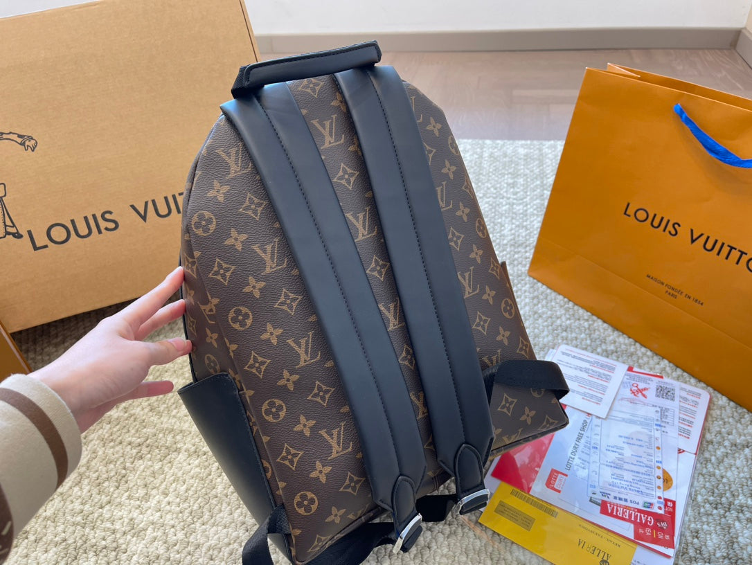 Louis vuitton handbags Backpack