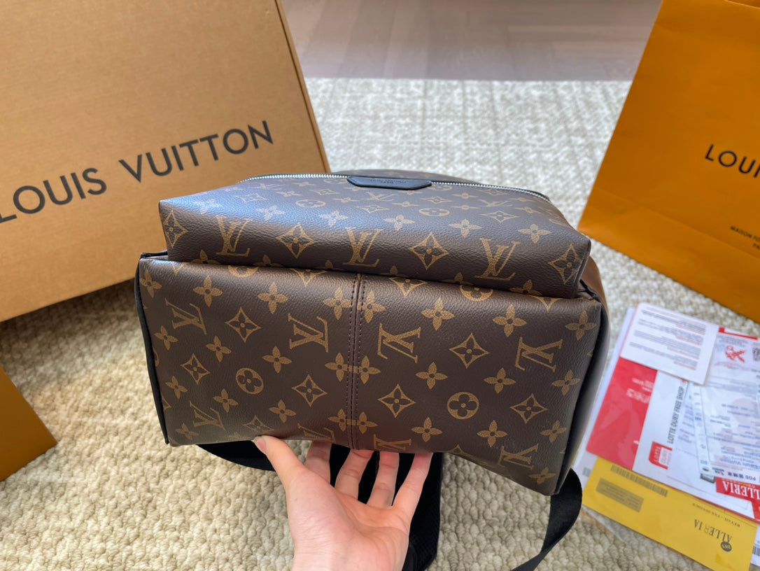 Louis vuitton handbags Backpack