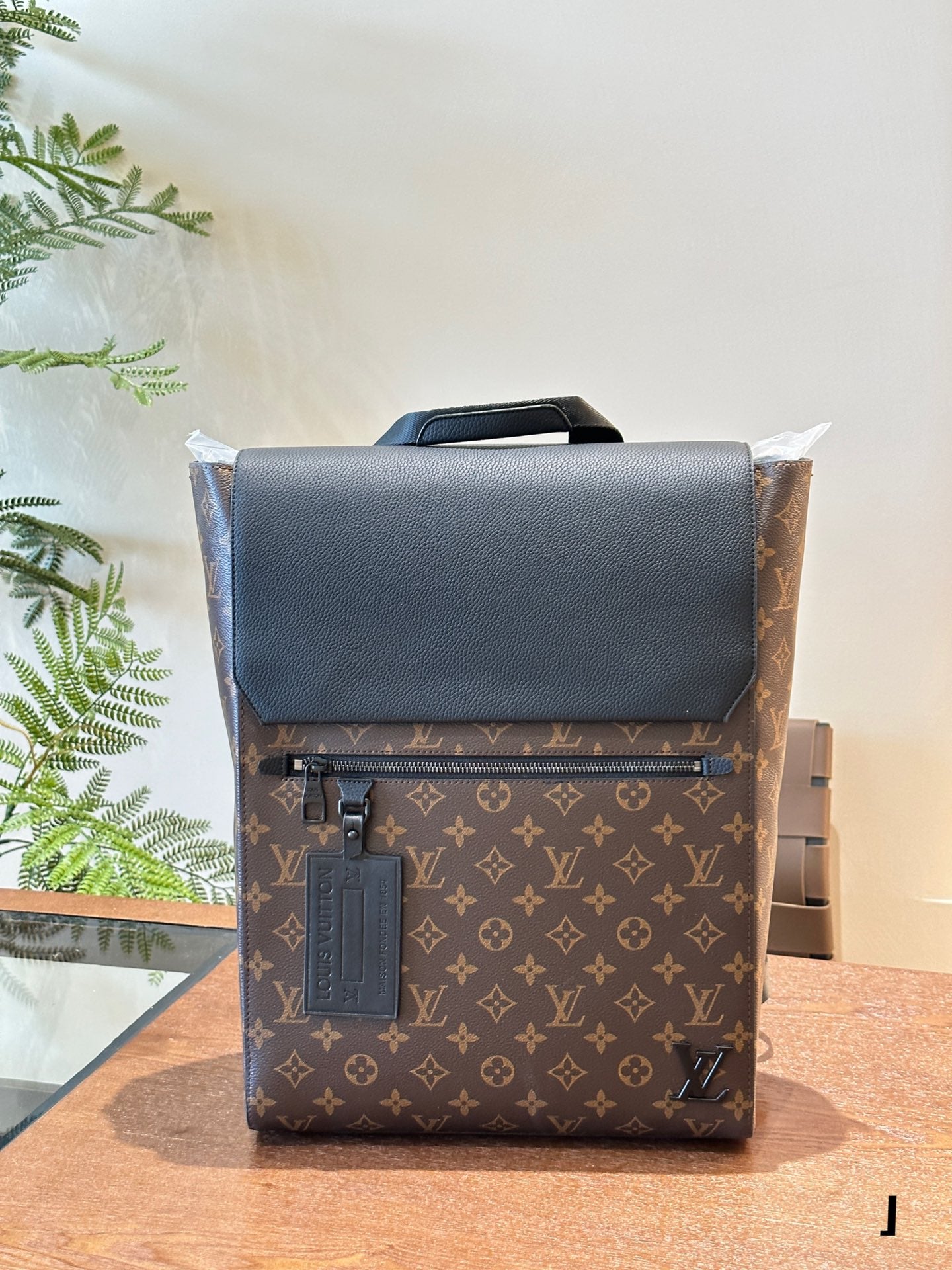 Louis vuitton handbags Backpack