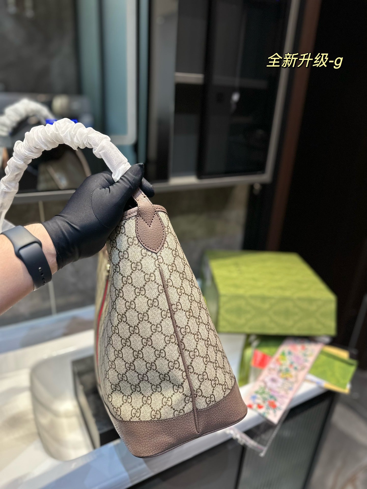 Gucci Handbag + Free Twilly scarf