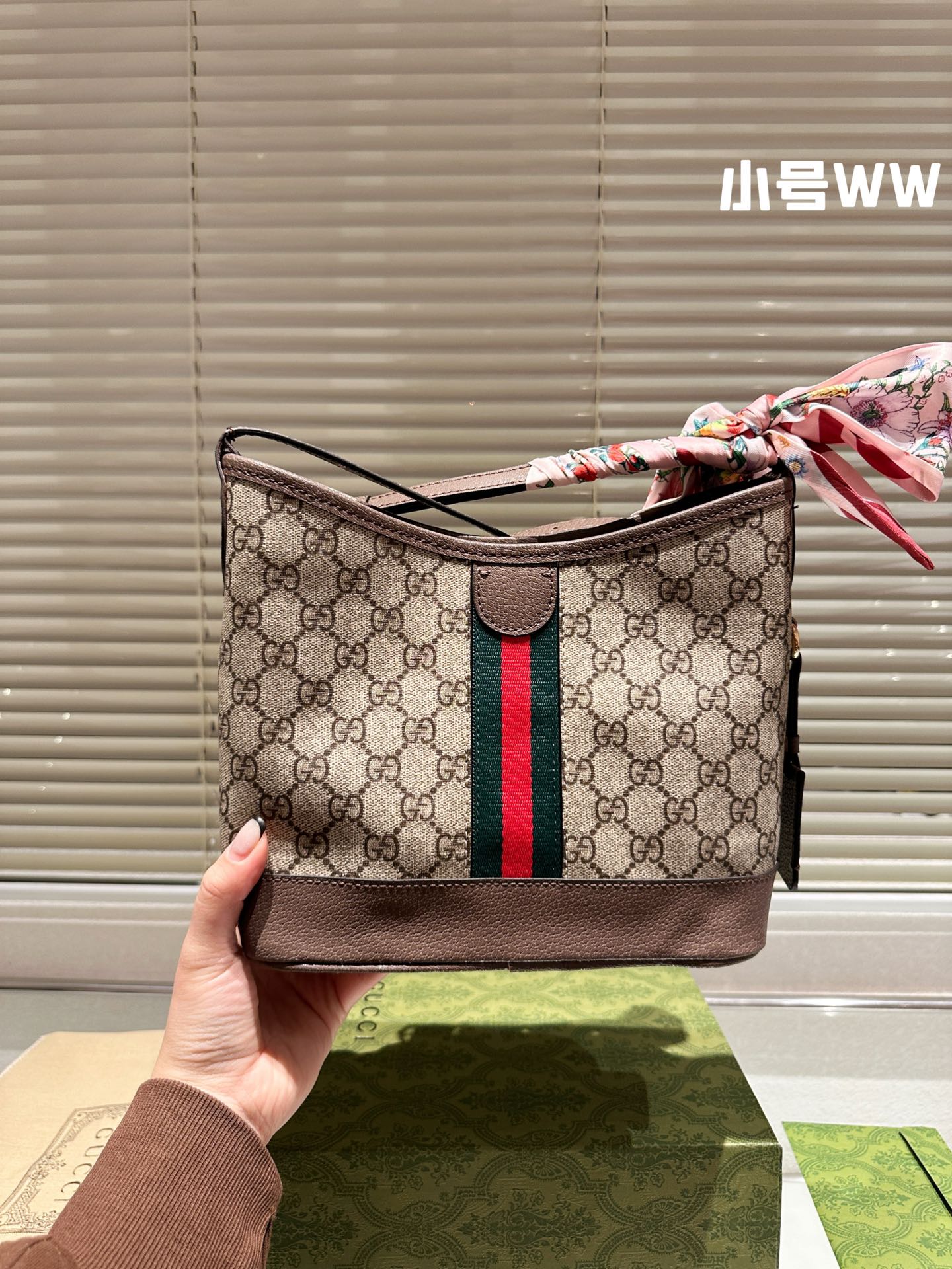 Gucci Handbag + Free Twilly scarf