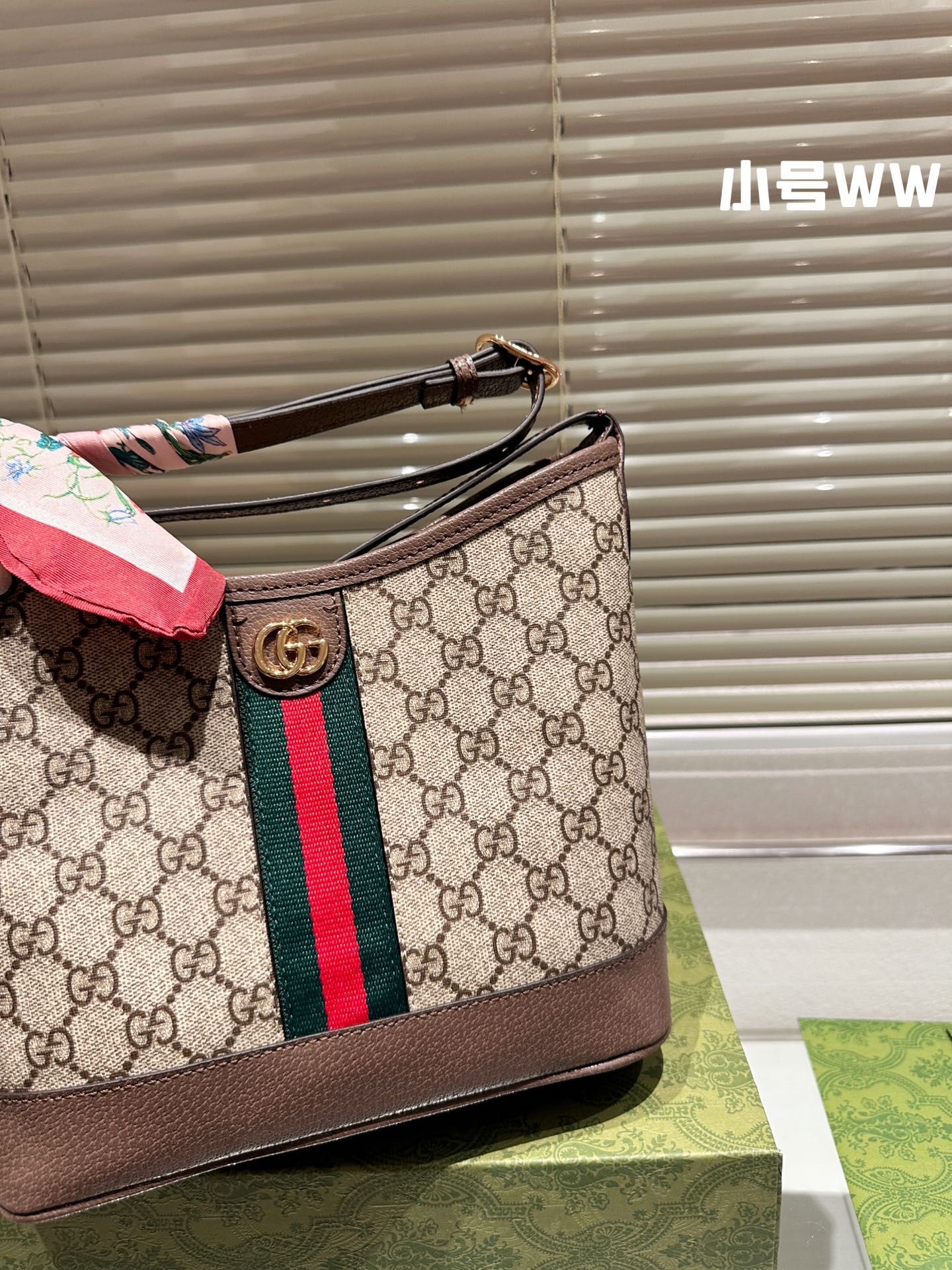 Gucci Handbag + Free Twilly scarf