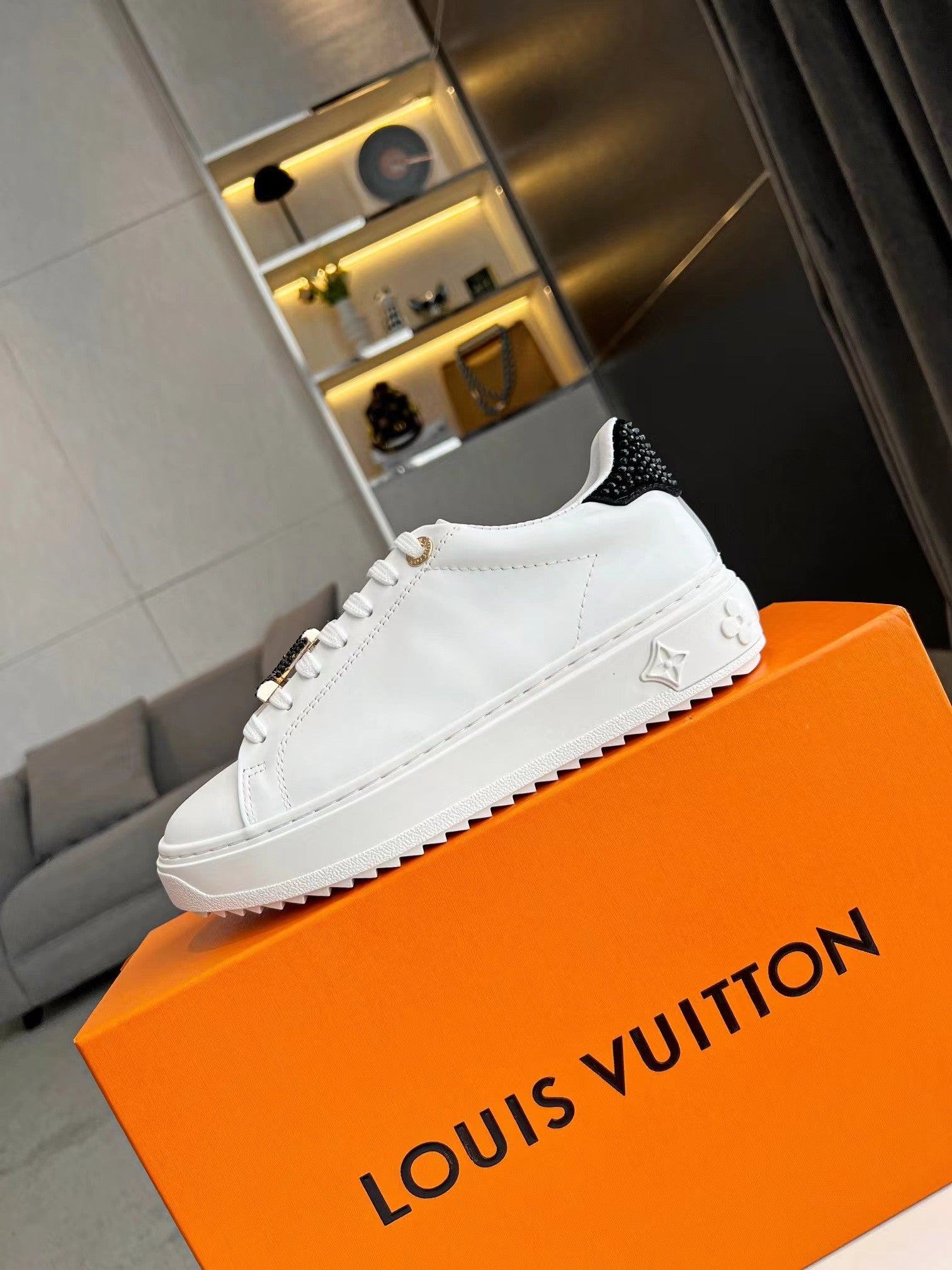 Louis Vuitton Sneakers