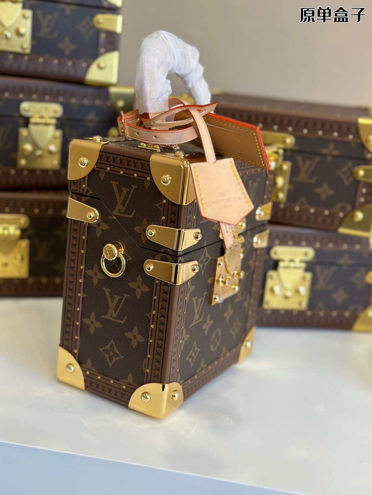 Louis Vuitton Camera Box Handbag ( Lushentic Version )