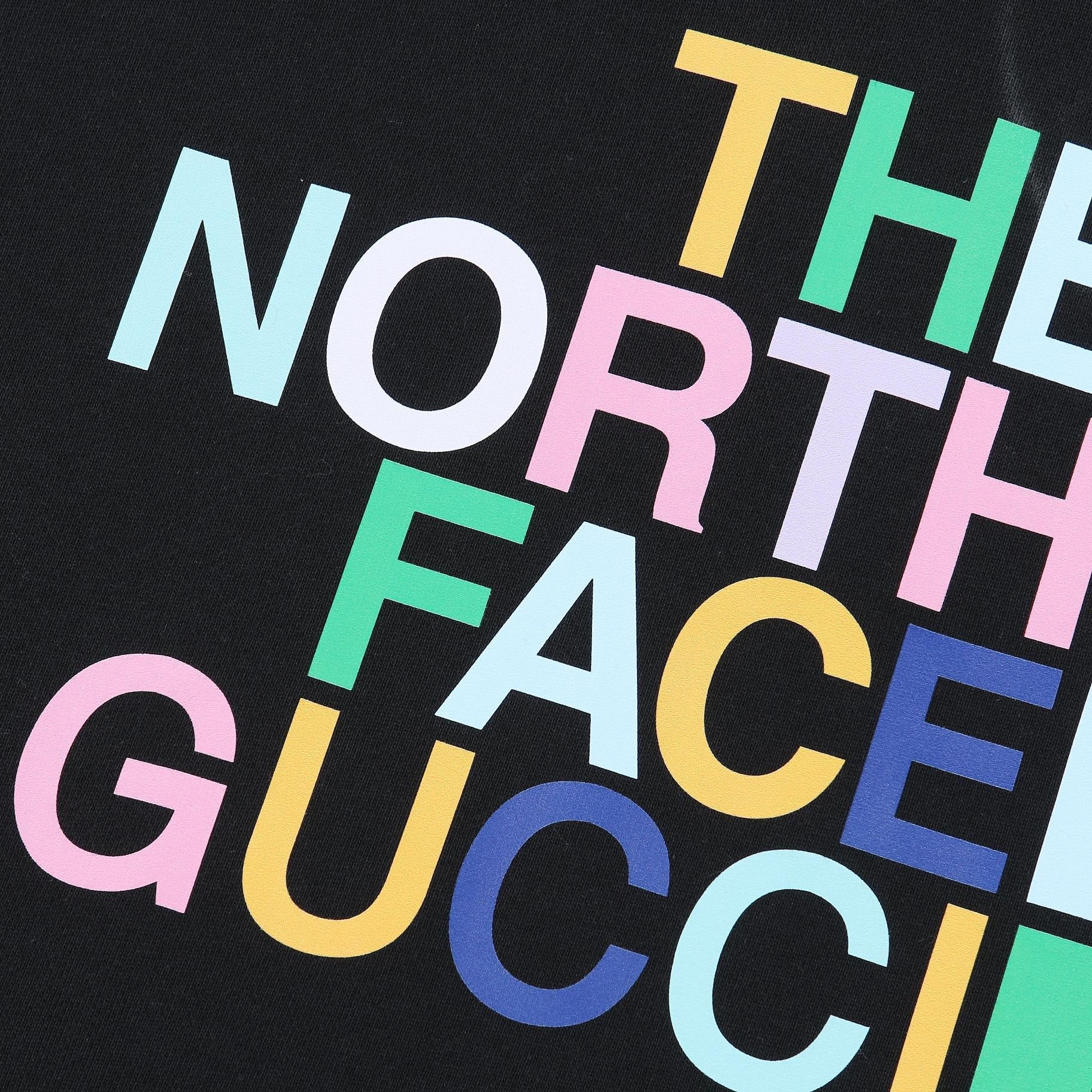 Gucci  “The North Face” Hoodie sweater