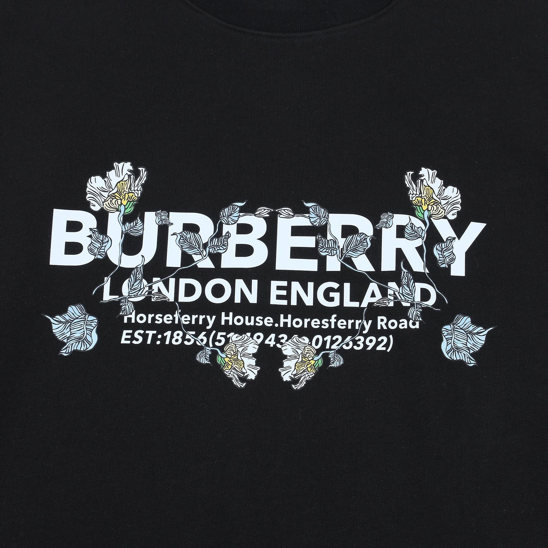 Burberry Sweater