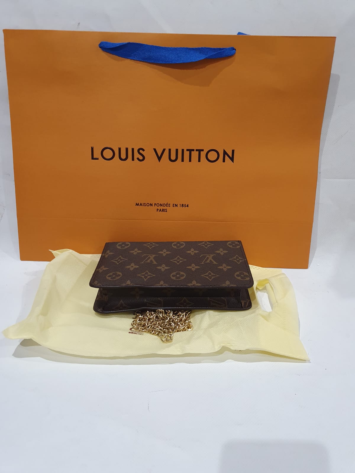 Louis Vuitton Handbag