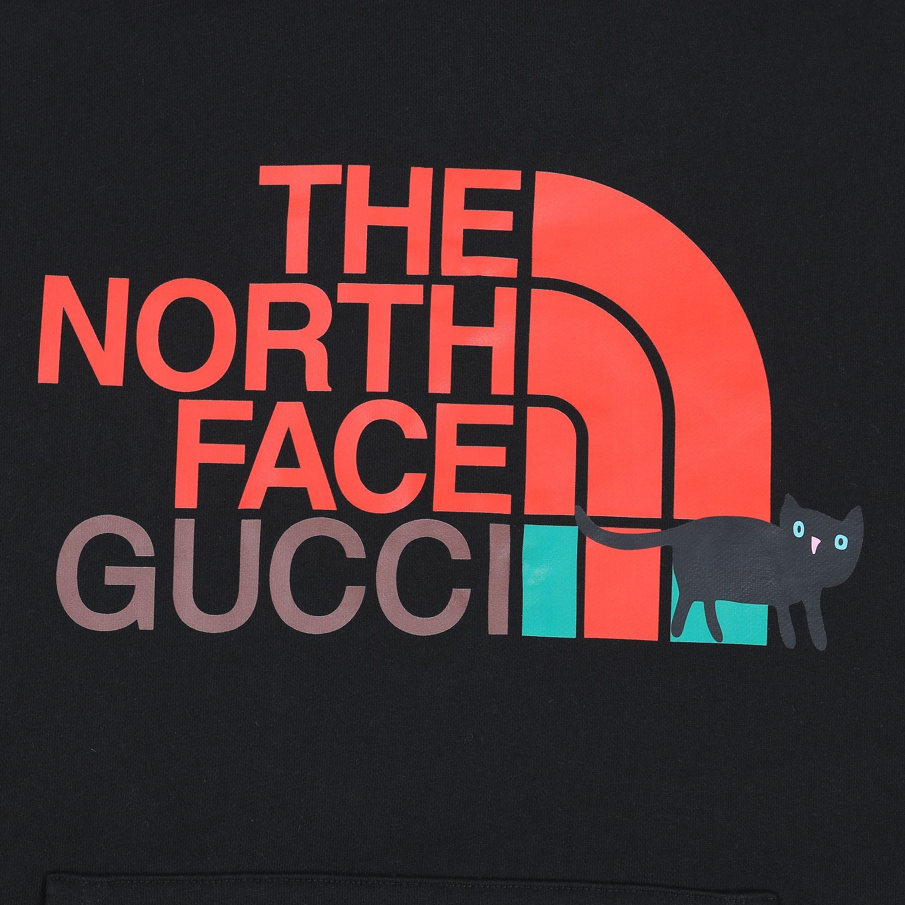 Gucci  “The North Face” Hoodie