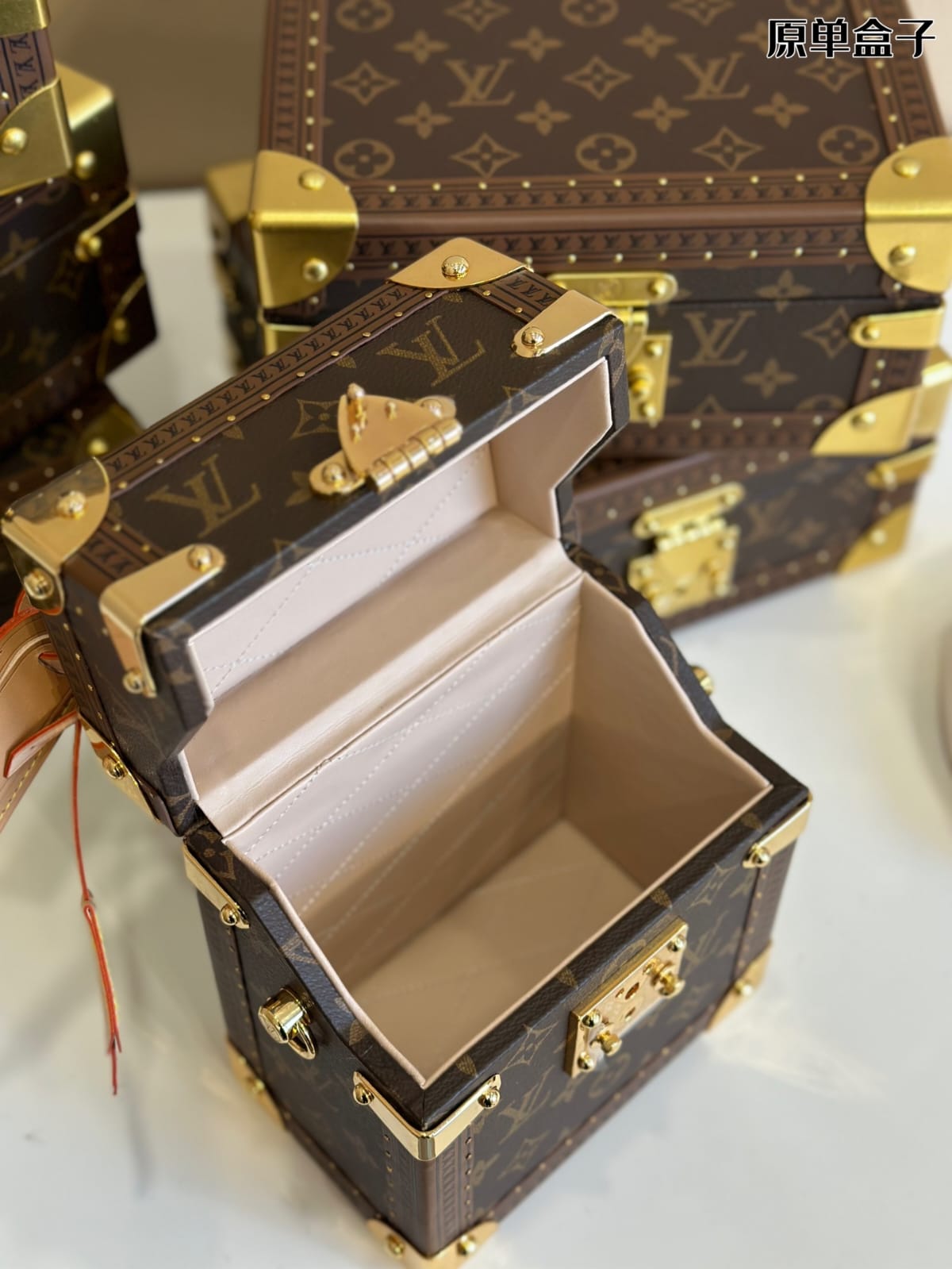 Louis Vuitton Camera Box Handbag ( Lushentic Version )